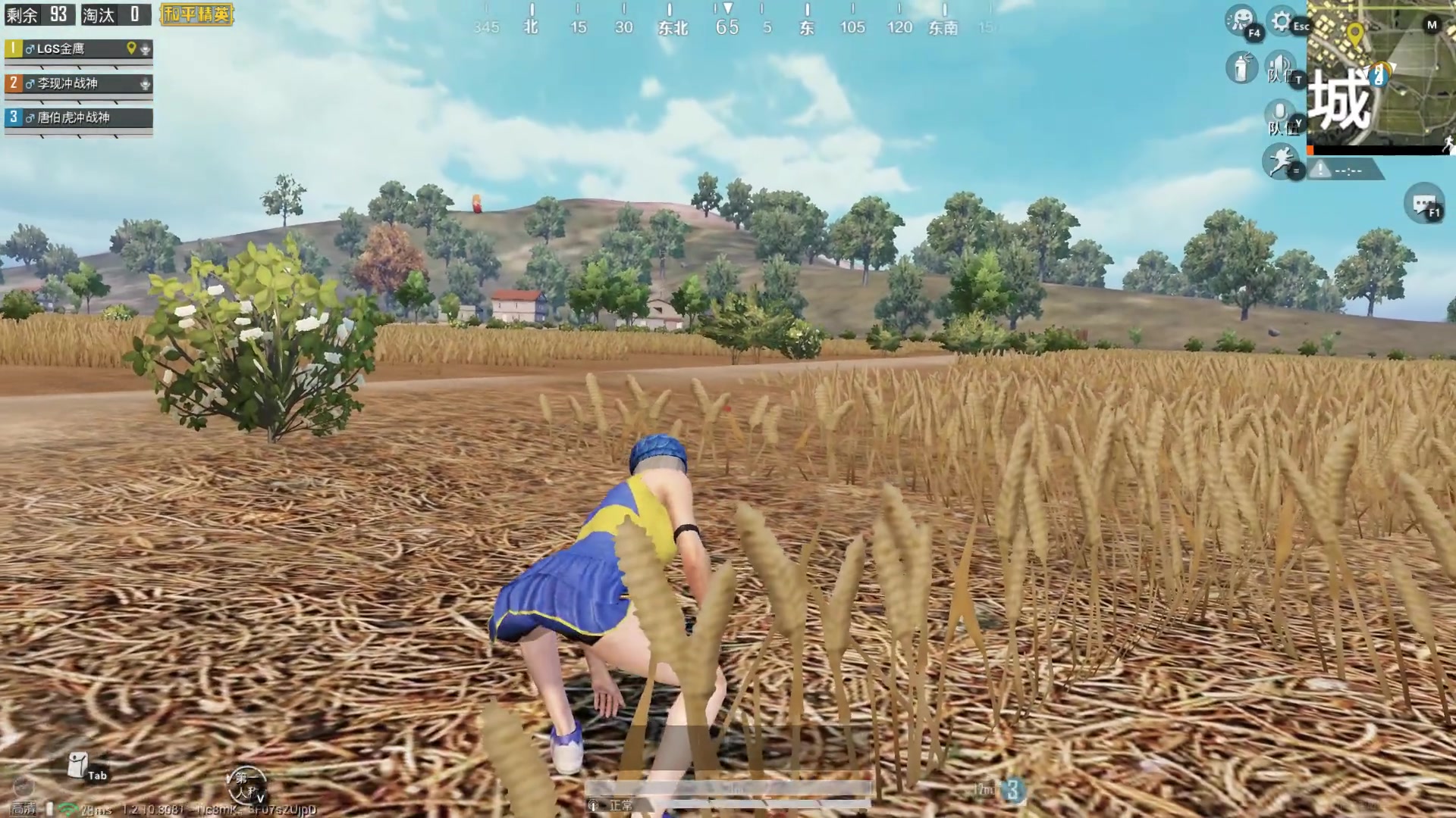 和平精英四排吃鸡2