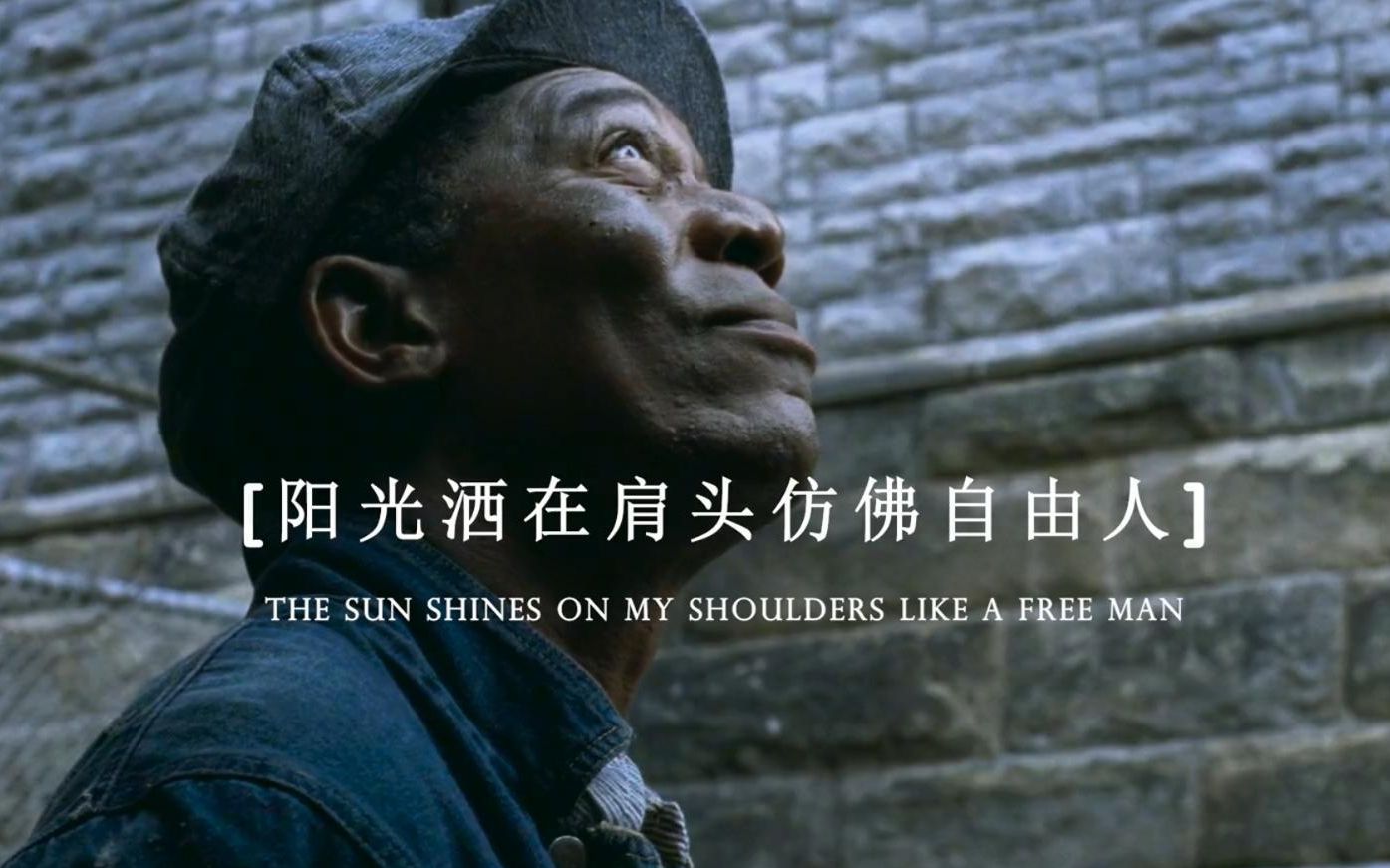 "阳光洒在肩头仿佛自由人!