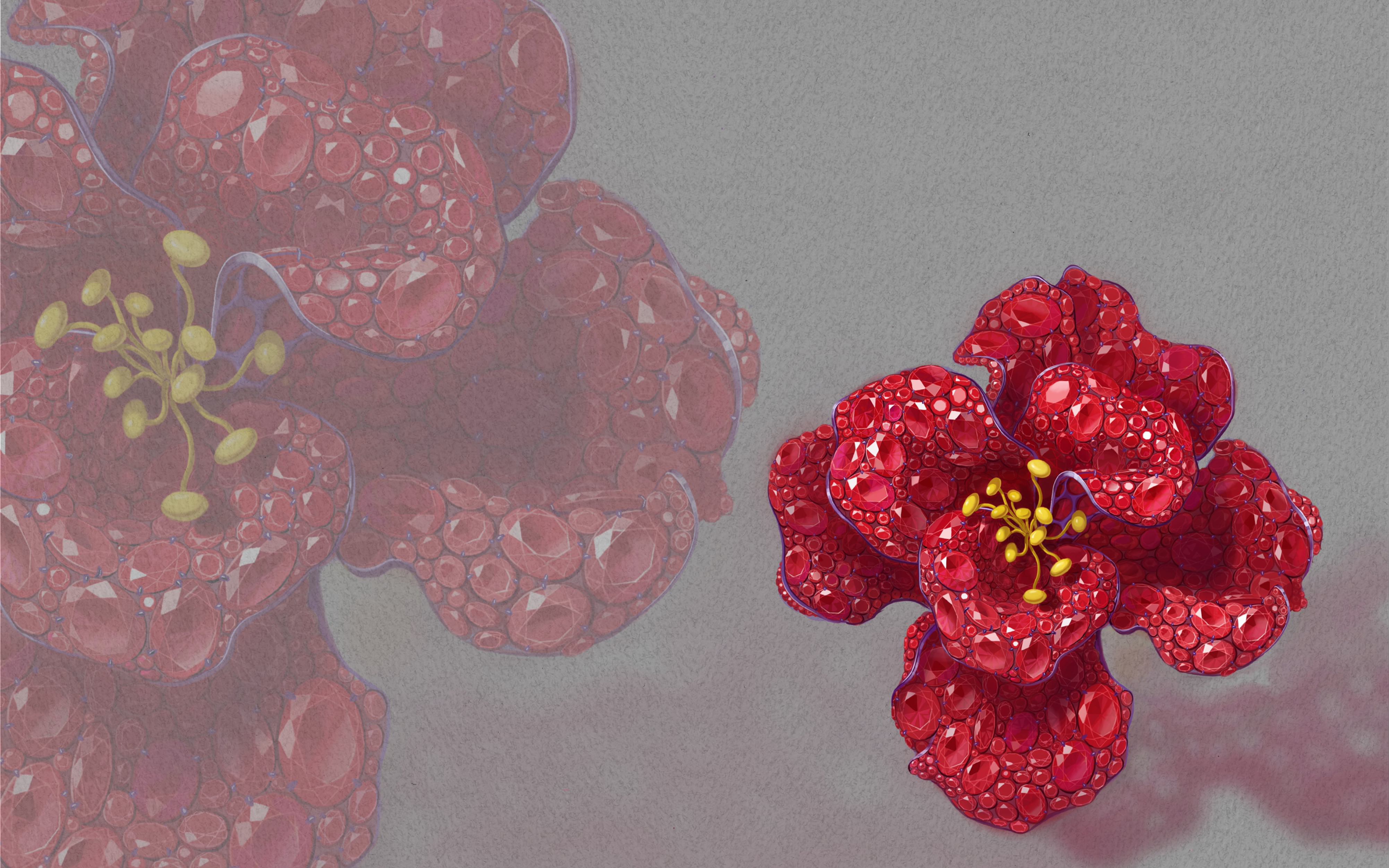 procreate手绘送你一朵小红花