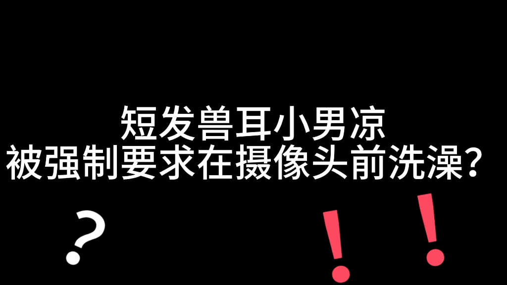 震惊!16岁猥琐大叔与半岁仓鼠哔哩哔哩bilibili