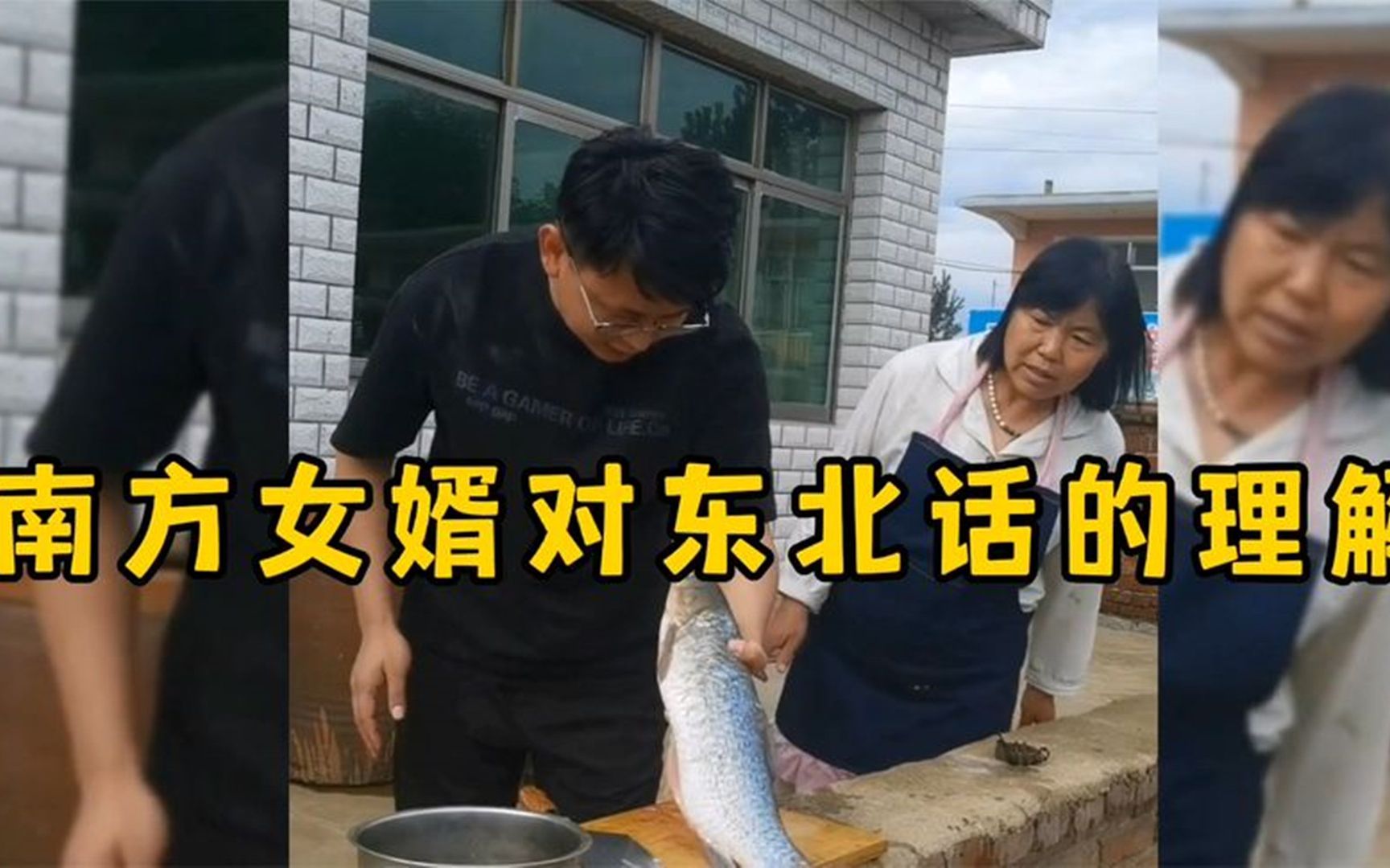 盘点南方女婿对东北话的理解,东北语言博大精深,南方人真听不懂!