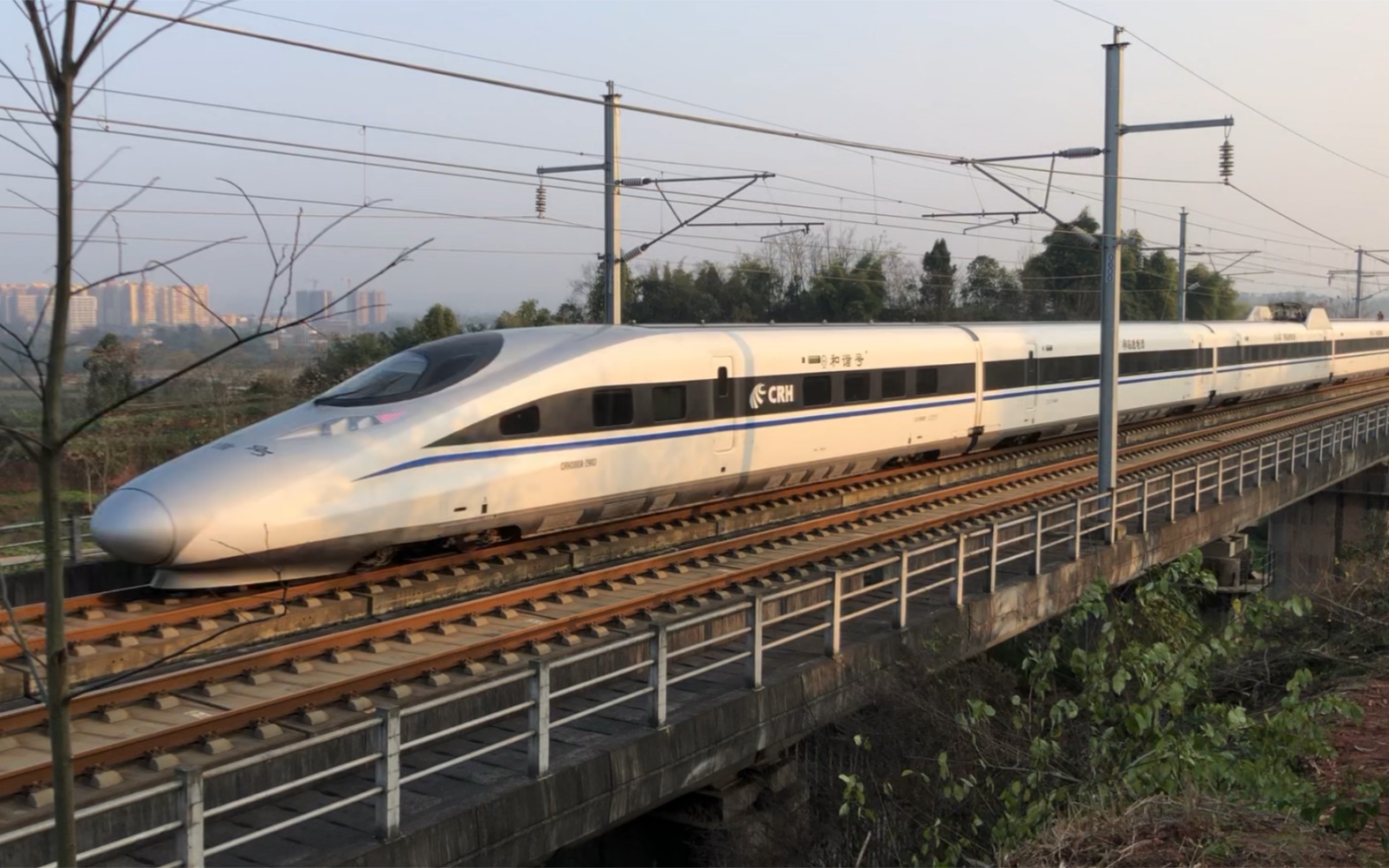g2821成都东-昆明南(crh380a-2903昆明局)通过乐山兴福村 17:10