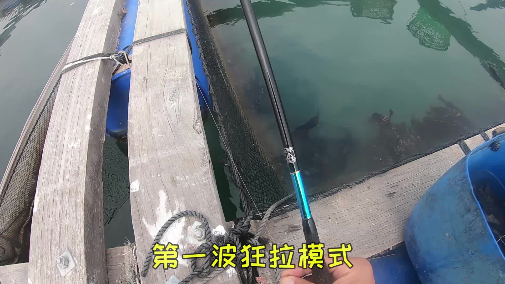 海钓:最近虎头门泥猛大而肥,手竿都狂拉哔哩哔哩bilibili