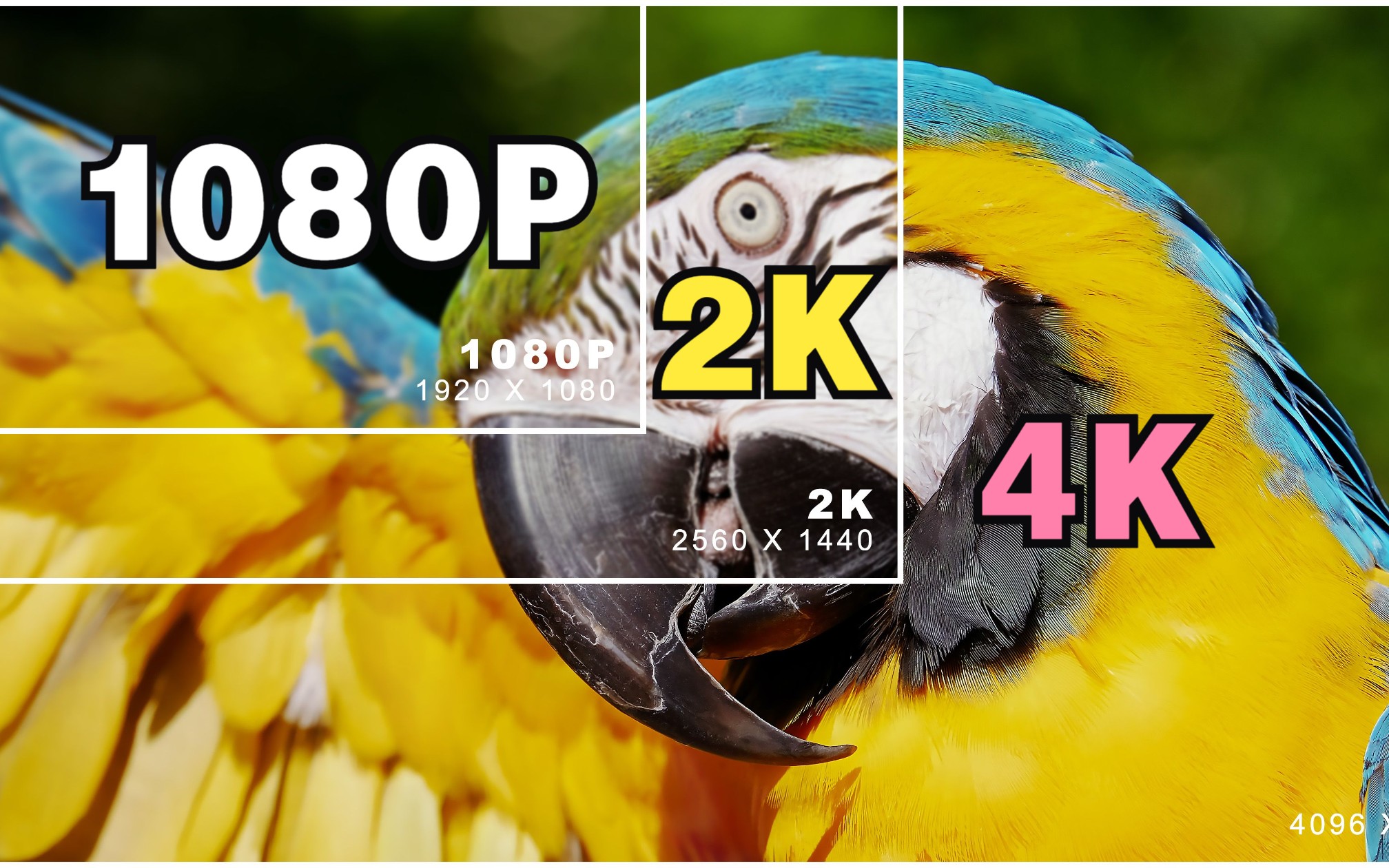 专业的1080p to 4k解决方案,一个视频带你了解 photofast 4k gamer