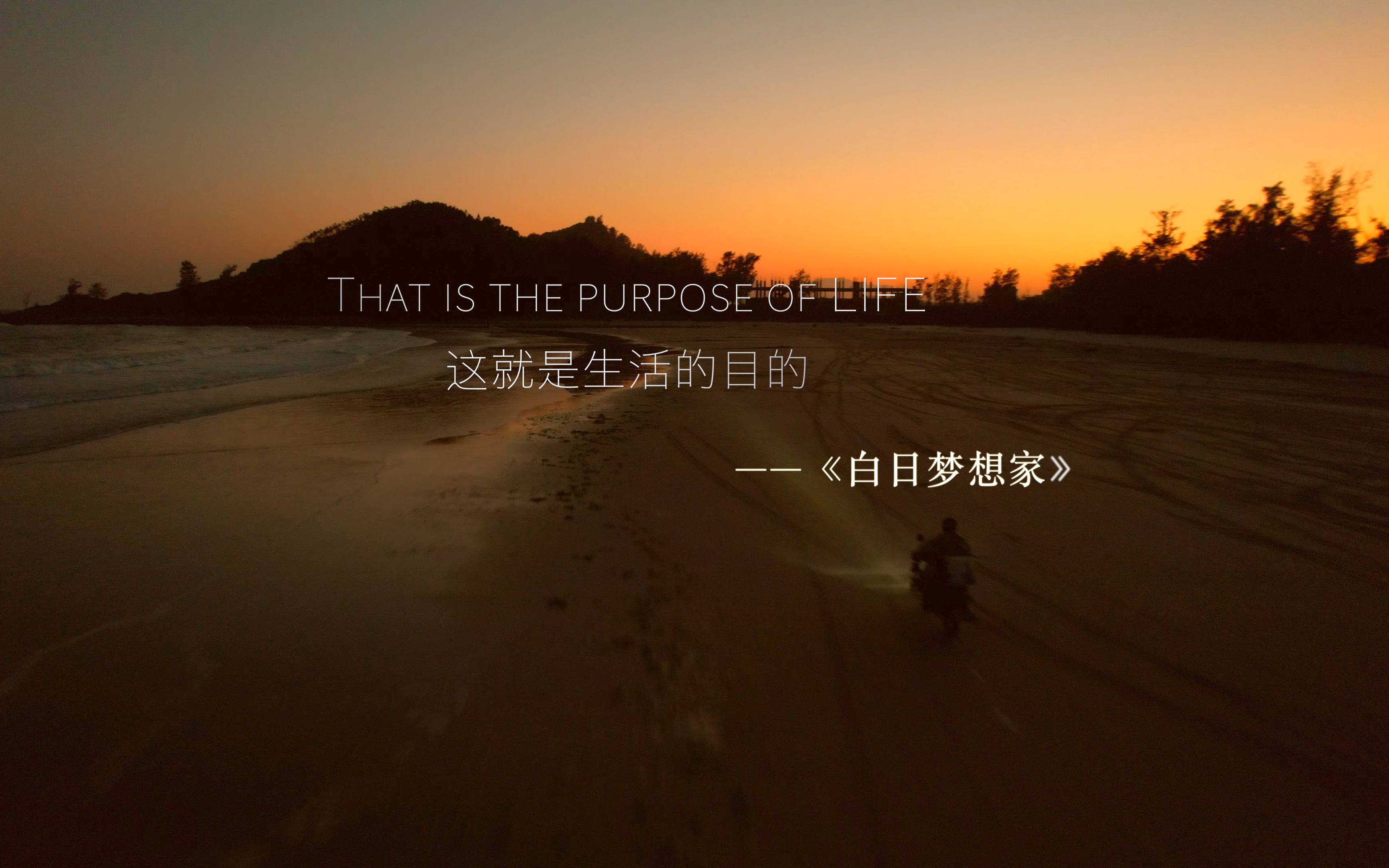 贴近生活;寻找真爱,感受彼此;这就是生活的目的——《白日梦想家》