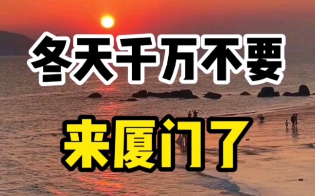 人均1000五天攻略告诉你,为什么说冬天不要来厦门了,因为太暖和又划算了!#厦门旅游攻略#旅行推荐官#厦门避坑攻略#海边旅行哔哩哔哩bilibili