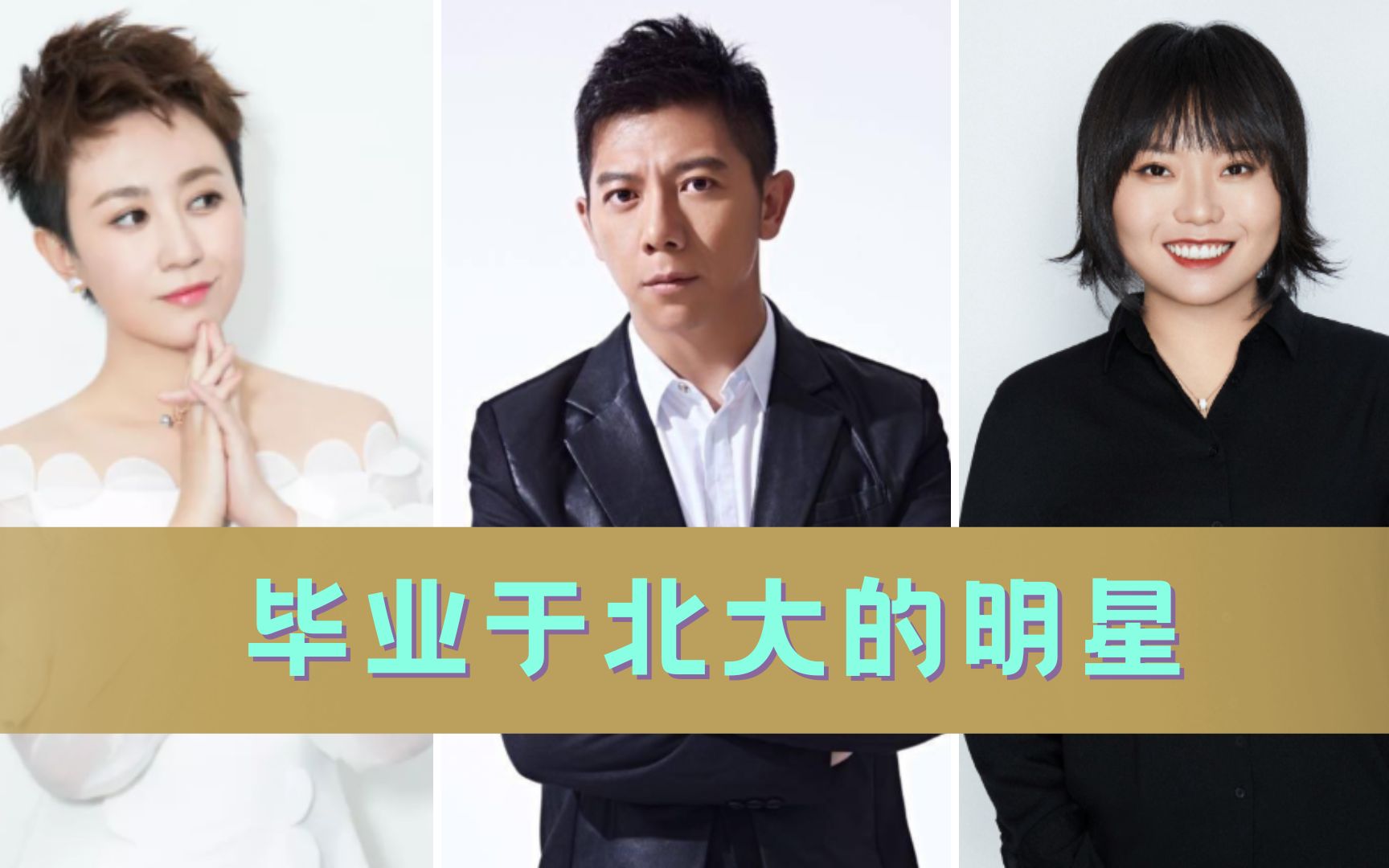 毕业于北大的明星,撒贝宁保送本硕连读,其妻子学历更高一筹