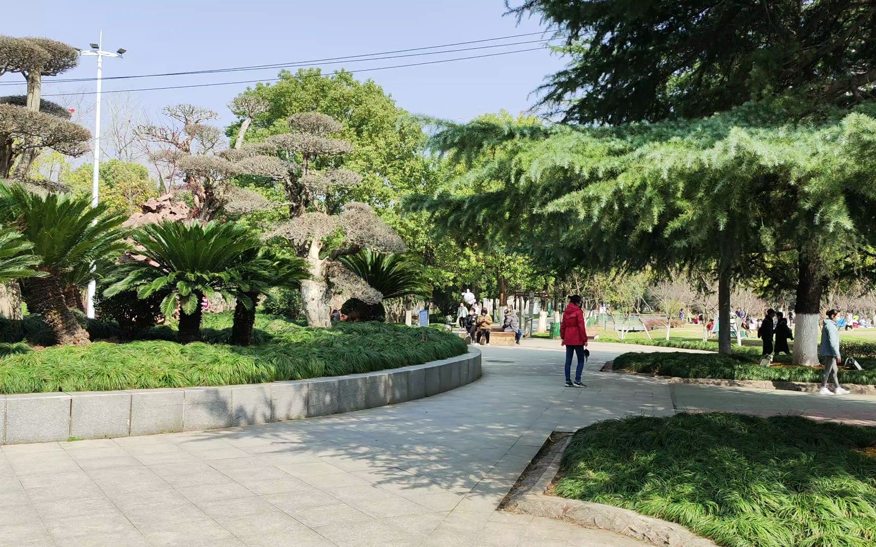 【手持录像】武汉青山 和平公园 20230226 晴