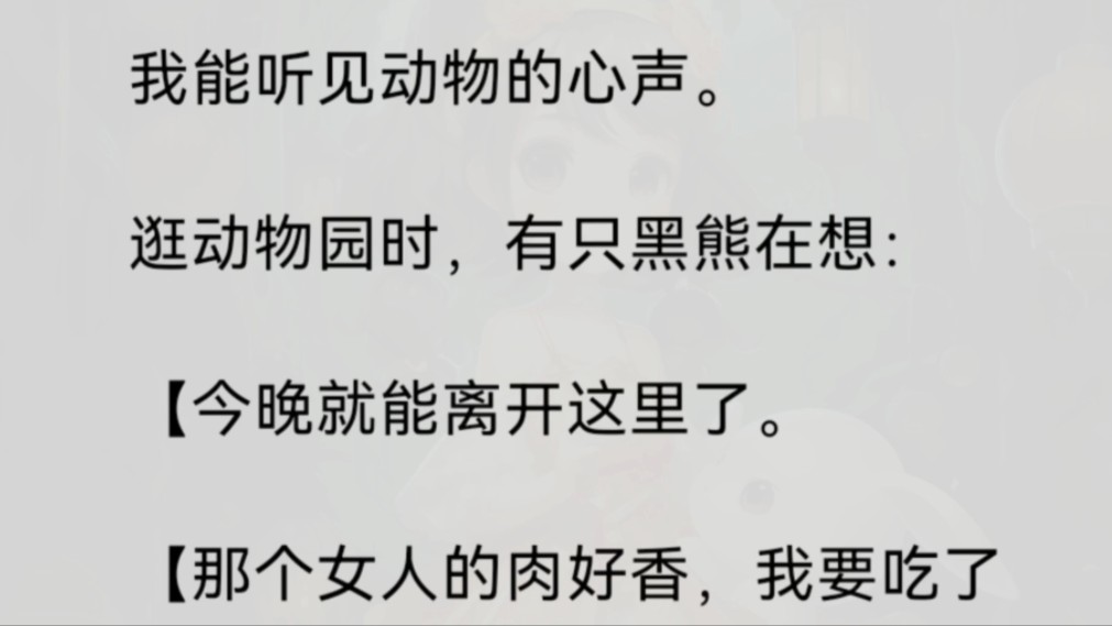 [图]《丝丝听声》我能听见动物的心声。逛动物园时，有只黑熊在想:【今晚就能离开这里了。【那个女人的肉好香，我要吃了她。】那只黑熊，一直死死地盯着我看……