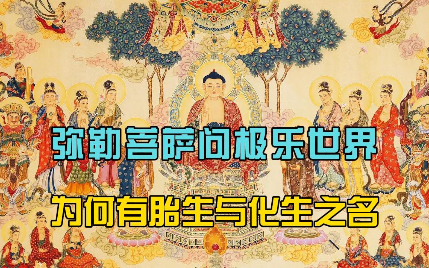 《佛说无量寿经》讲义 第十三集(2) 弥勒菩萨问极乐世界为何有胎生与化生之名哔哩哔哩bilibili