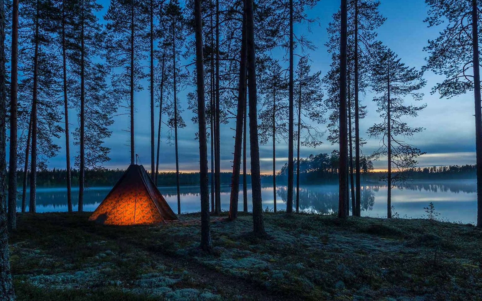 creeper是否有不良行为?你们懂的