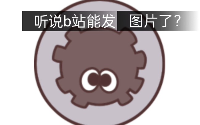 B站能发图片了?哔哩哔哩bilibili