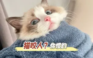 Download Video: 猫咪咬人？都是你惯的！