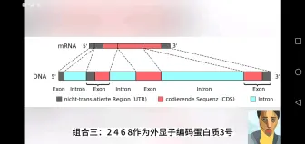 Download Video: 原核生物的基因和真核生物的基因，区别！