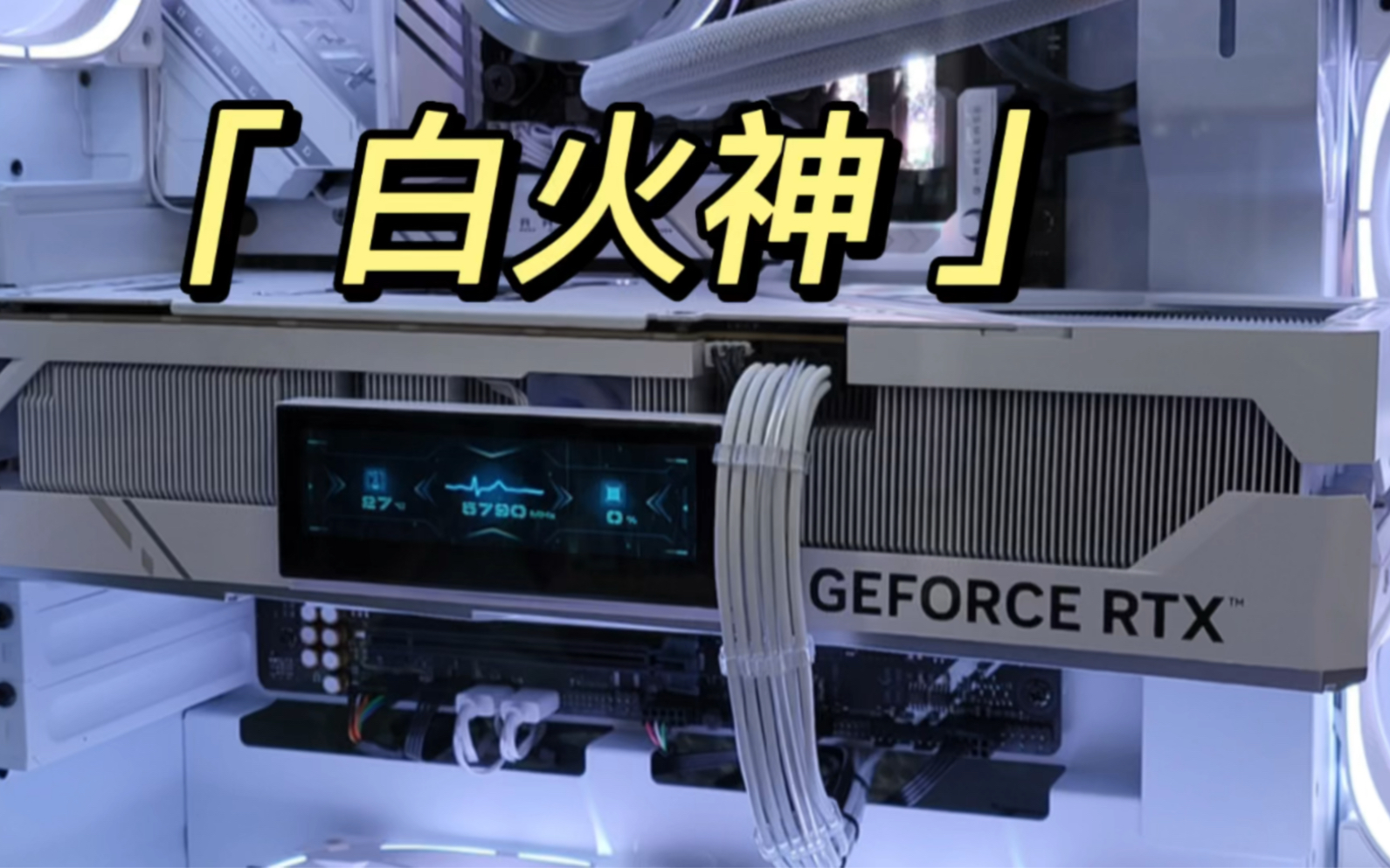 白火神 开个包视频有点长说出自己想说的与猛禽对比 工作日记 记录