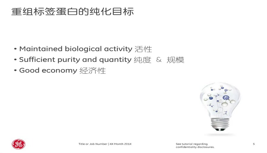 重组标签蛋白纯化策略与方法哔哩哔哩bilibili