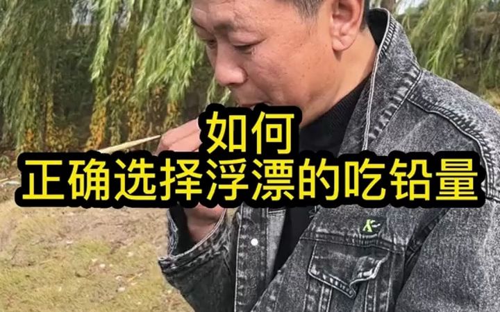 如何正确选择浮漂的吃铅量,最后的表格你学会了吗?哔哩哔哩bilibili