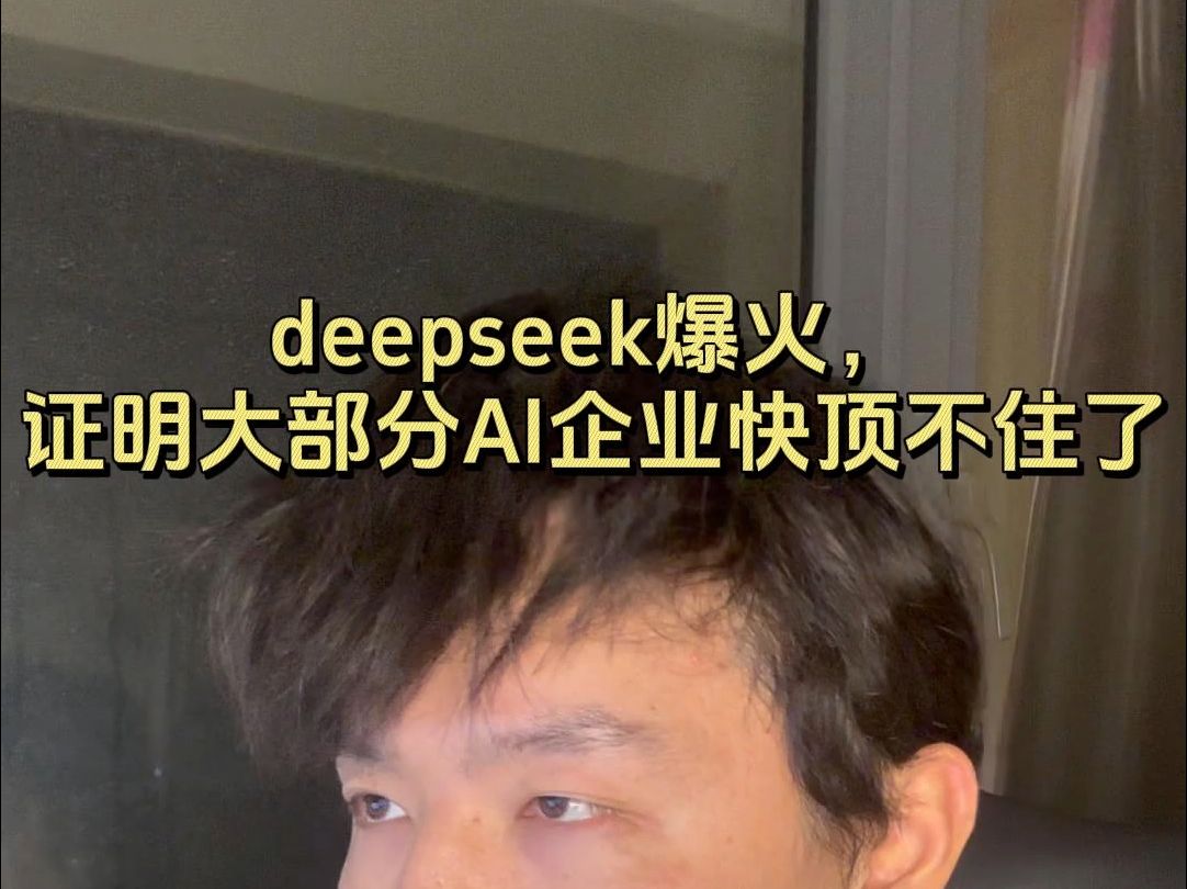 deepseek的爆火,恰恰说明了全世界AI企业前途坎坷..哔哩哔哩bilibili