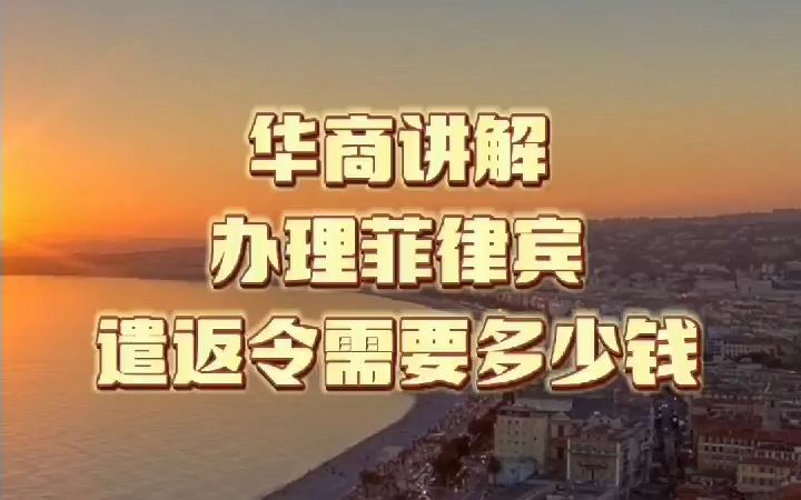 办理菲律宾遣返令需要多少钱哔哩哔哩bilibili