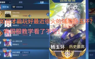 Descargar video: 国服杨玉环辅助教学，真国服Q区在榜b站排面！