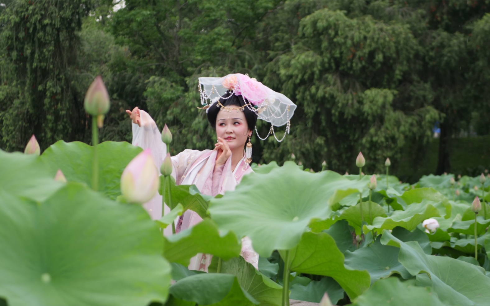 古典舞——《清平调》——灼灼荷花瑞,亭亭出水中……色夺歌人脸,香