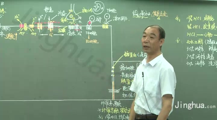 【高立新高中生物】高三专题复习——遗传与变异、分子与细胞哔哩哔哩bilibili