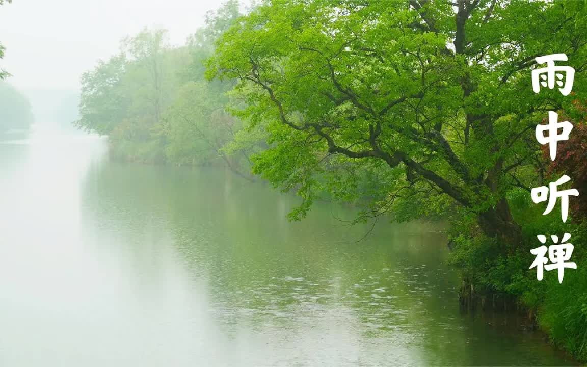 [图]4K 古筝佛乐、雨中听禅