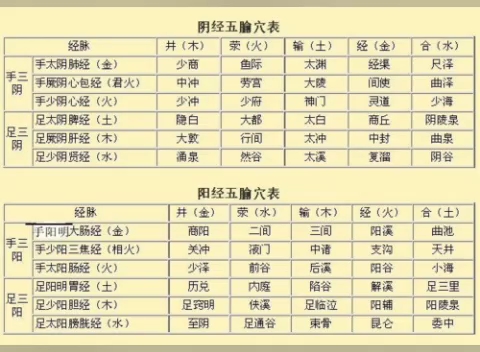 [图]十二经脉在肘膝关节以下各称为井、荥、输、经、合的五个腧穴，合称五腧穴。有关记载首见于《灵枢/九针十二原》，曰：所出为井，所溜为荥，所注为输，所行为经，所入为合。