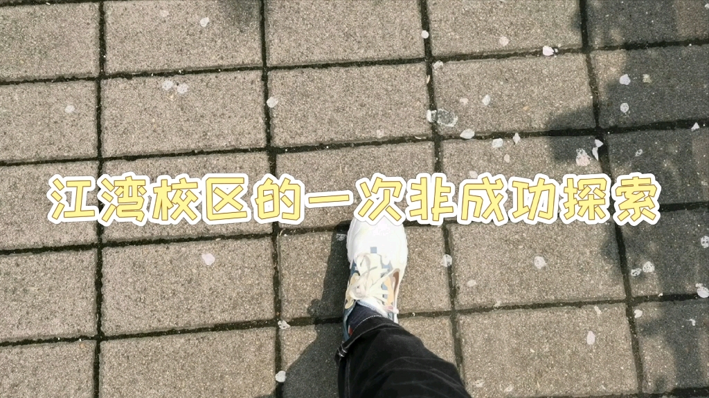 复旦江湾校区的非成功探索哔哩哔哩bilibili