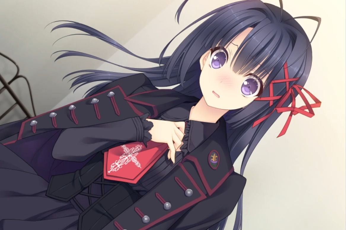 少女理论及其之后的周边 里想奈线p6 "我们的伙伴"