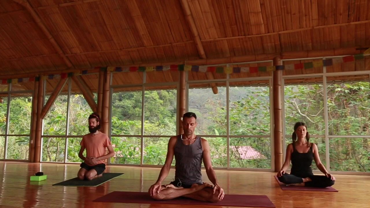 [图]Doron Hanoch | Modified Ashtanga Yoga Second Series 75 min Intermediate Led