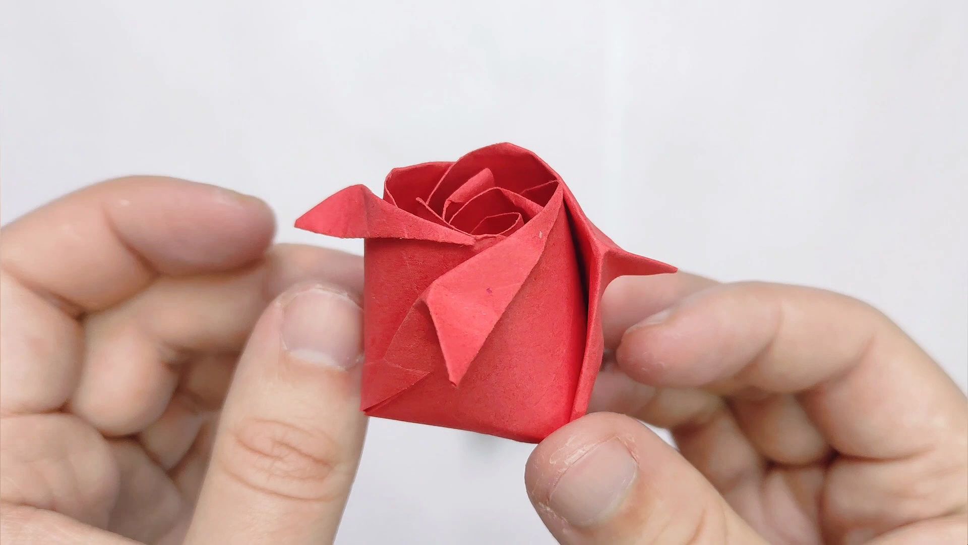 【origami library】玫瑰折纸教程origami rose tutorial