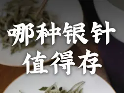 什么样的白毫银针值得存？