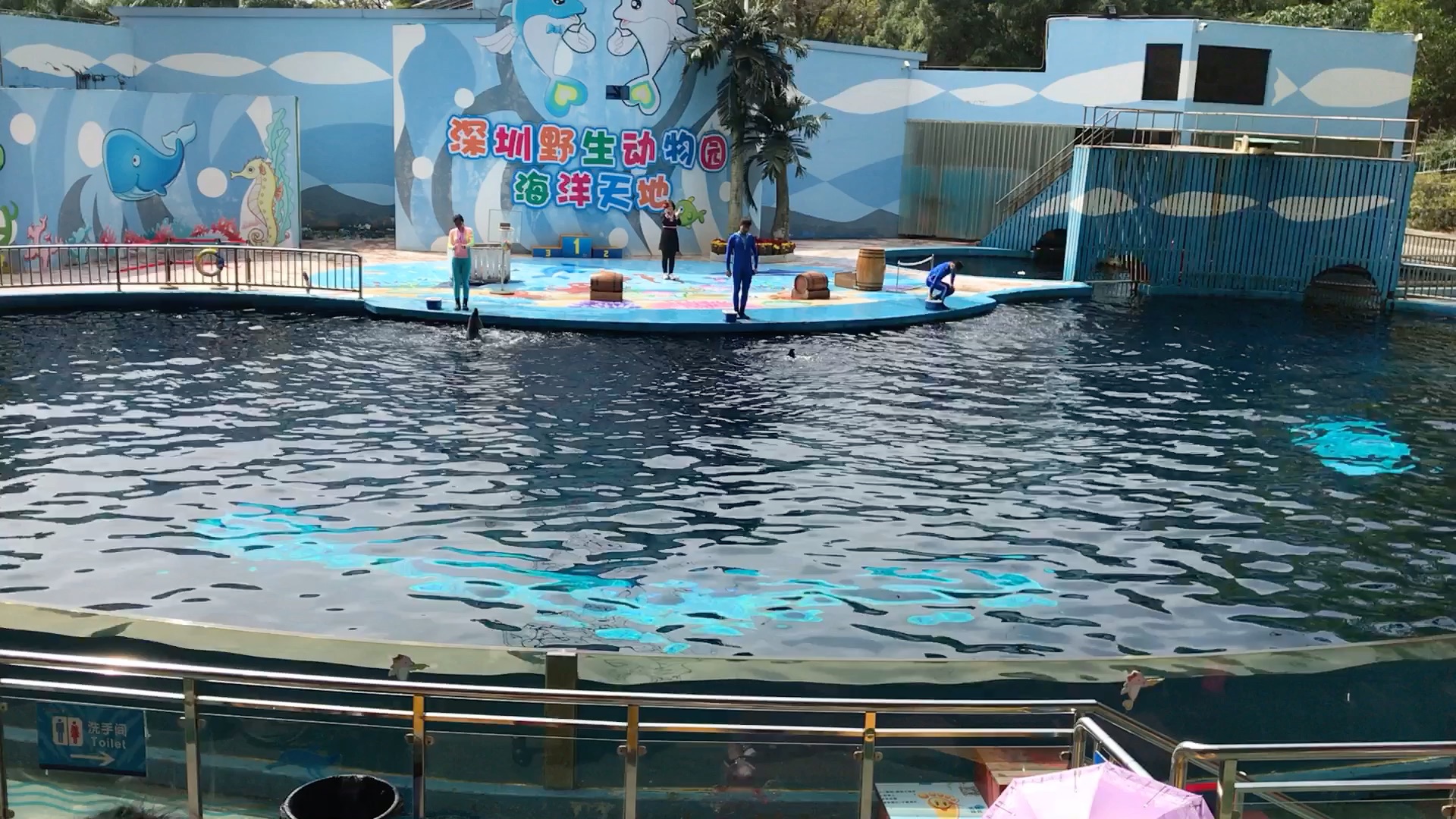 在深圳过年回忆_哔哩哔哩 (゜-゜)つロ 干杯~-bilibili