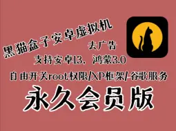 Download Video: 最新黑猫盒子虚拟机永久会员版，安卓13可用，自由开关root权限/XP框架/谷歌服务