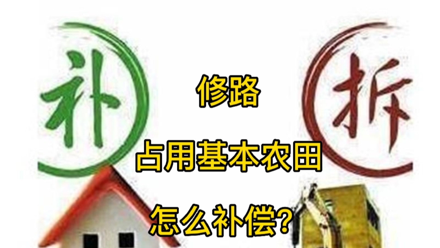 修路占用基本农田怎么补偿?哔哩哔哩bilibili