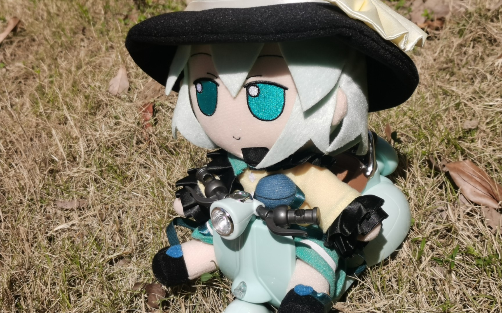 【东方fumo】恋宝尝试驯服外界坐骑