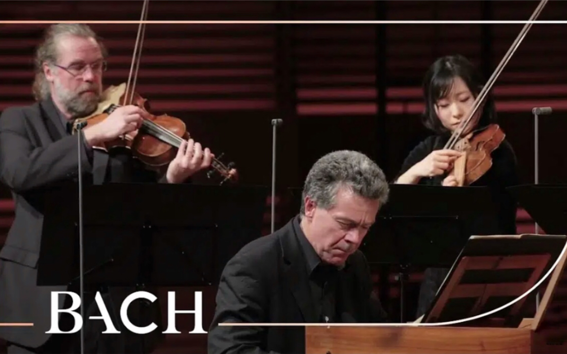 [图]巴赫 - f小调 羽管键琴协奏曲 Bach - Harpsichord concerto in F minor BWV 1056 / Violin Cello