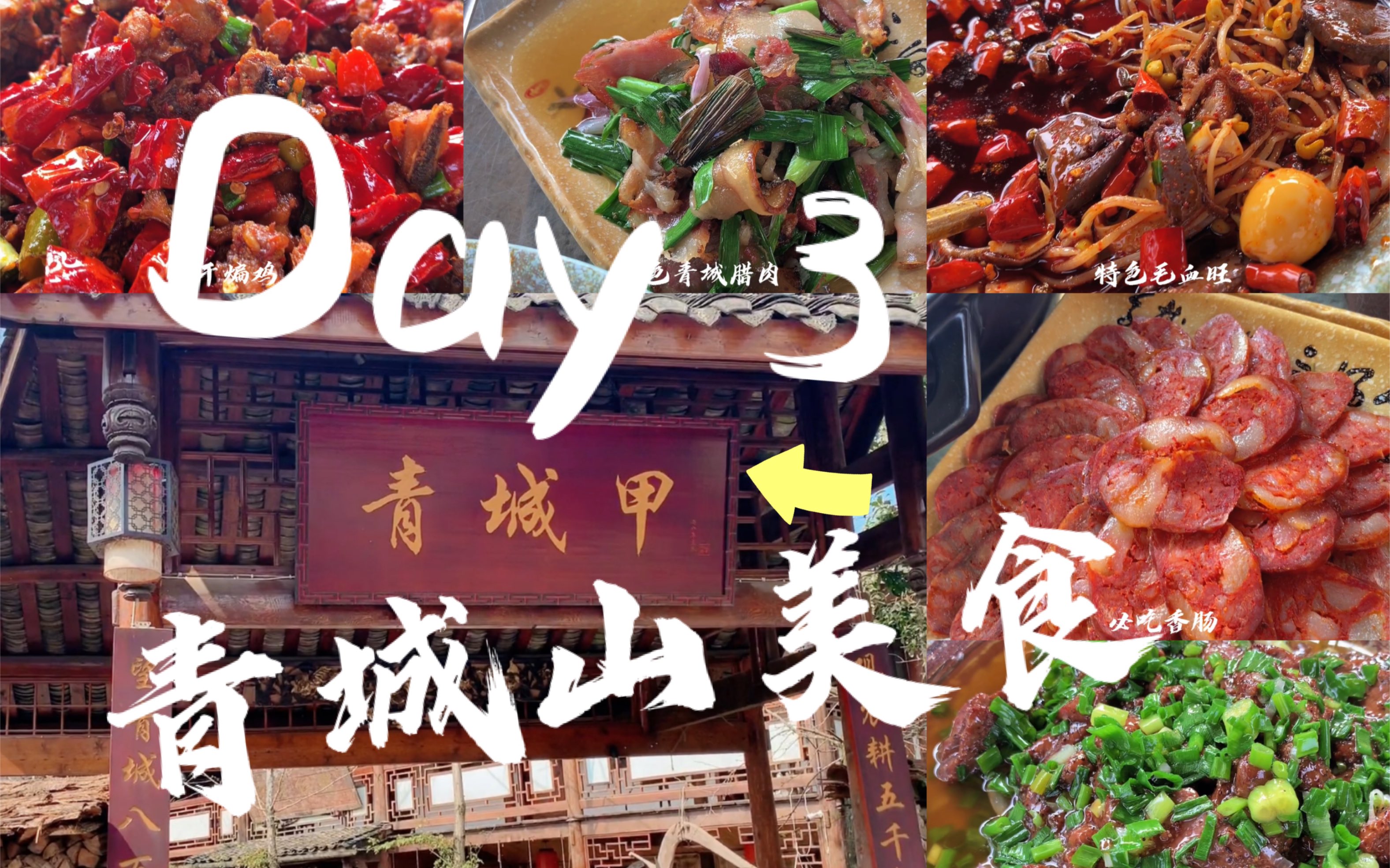 【成都周边游vlog】Day3青城山美食探店—青城甲哔哩哔哩bilibili