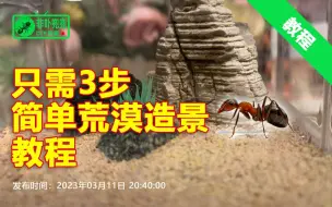 Télécharger la video: 【教程】极简沙漠造景3步搞定，荒漠造景教程，自制蚁巢养蚂蚁