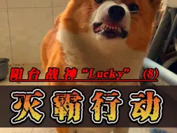 Download Video: 阳台战神Lucky（8）