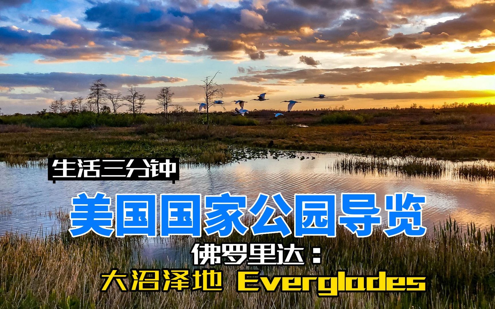 三分钟介绍美国大沼泽地国家公园(everglades national park)