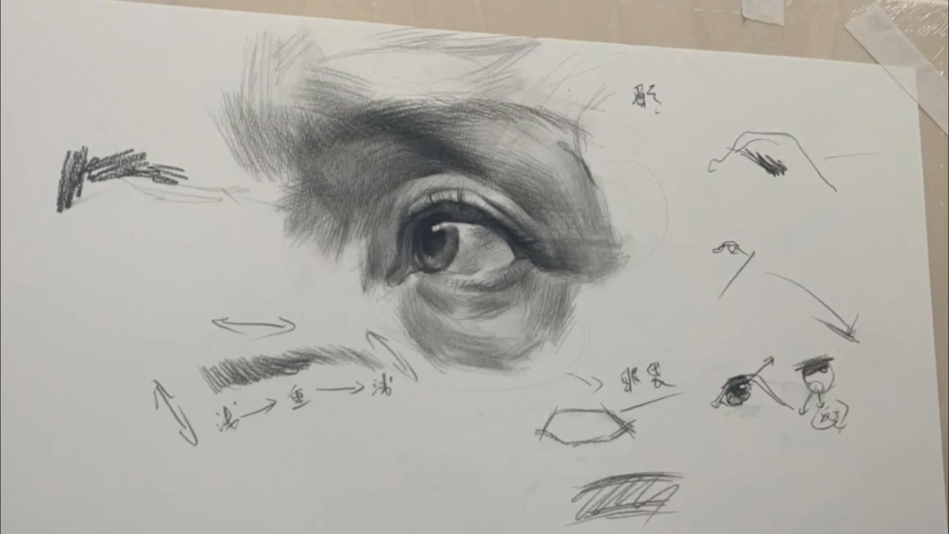 眼睛素描结构图解析图片