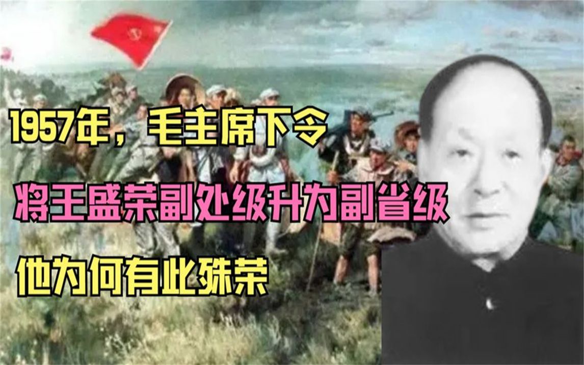 1957年,毛主席下令,将王盛荣副处级升为副省级,他为何有此殊荣哔哩哔哩bilibili