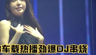 下载视频: 精选车载DJ串烧歌曲，伤感歌曲，劲爆十足，值得收藏转发