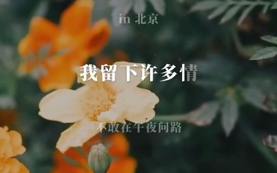 [图]我们一起学唱《OneNightIn北京》#全民k歌#OneNightIn北京#花声匠木木