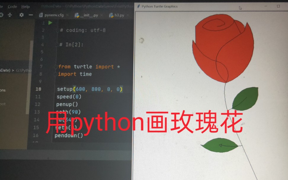 用Python画郁金香图片