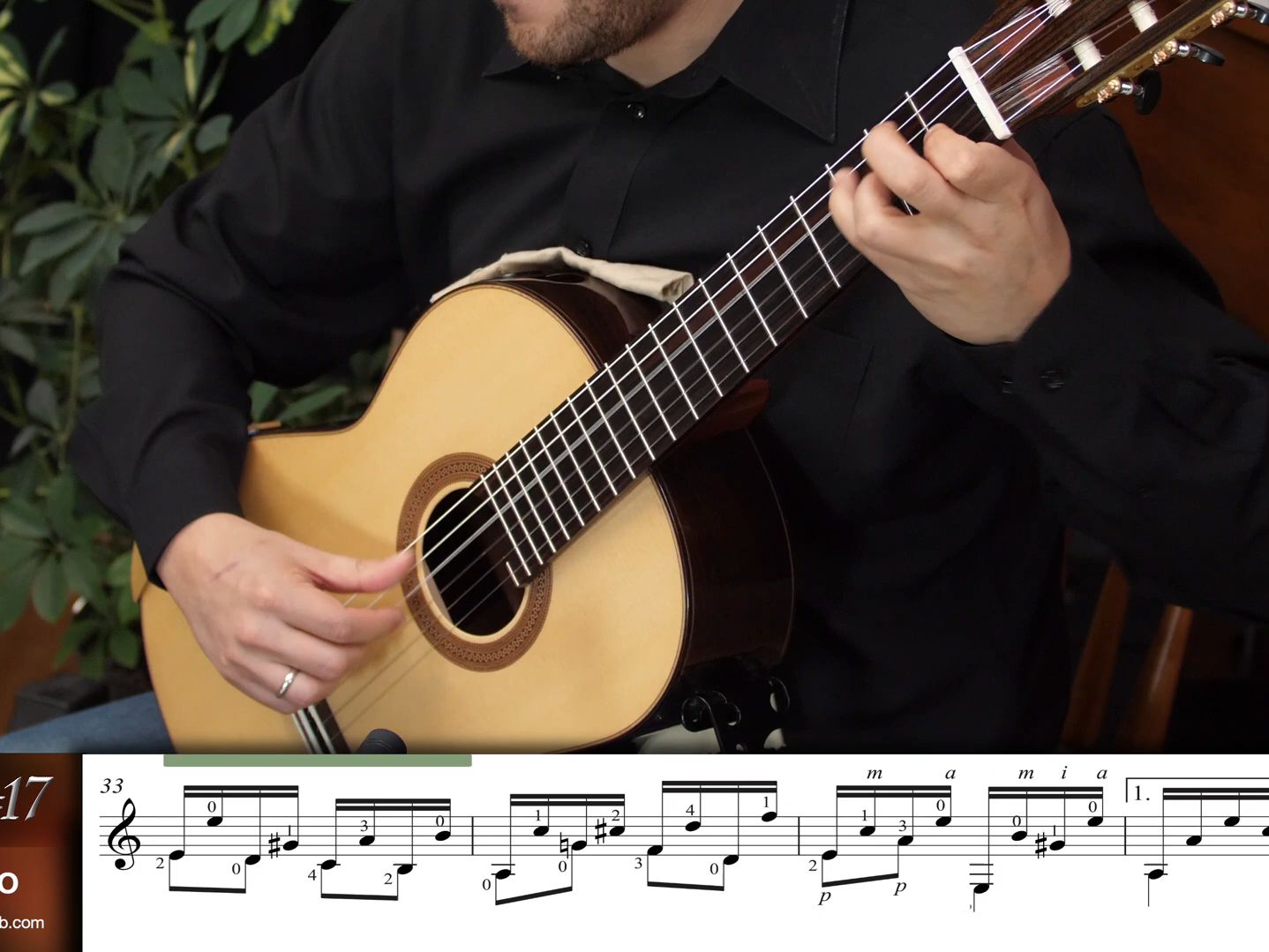 (tariq harb, guitar)卡尔卡西carcassi - study no. 17, op. 60