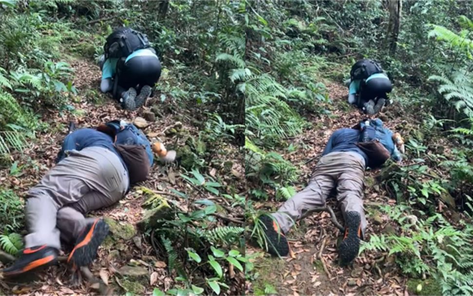 男子和同伴爬山时遭遇马蜂袭击,其中两名同伴被吓得立马抱住头蹲下,虽然趴在地上这名男子全副武装,但依旧难逃被马蜂蜇伤.哔哩哔哩bilibili