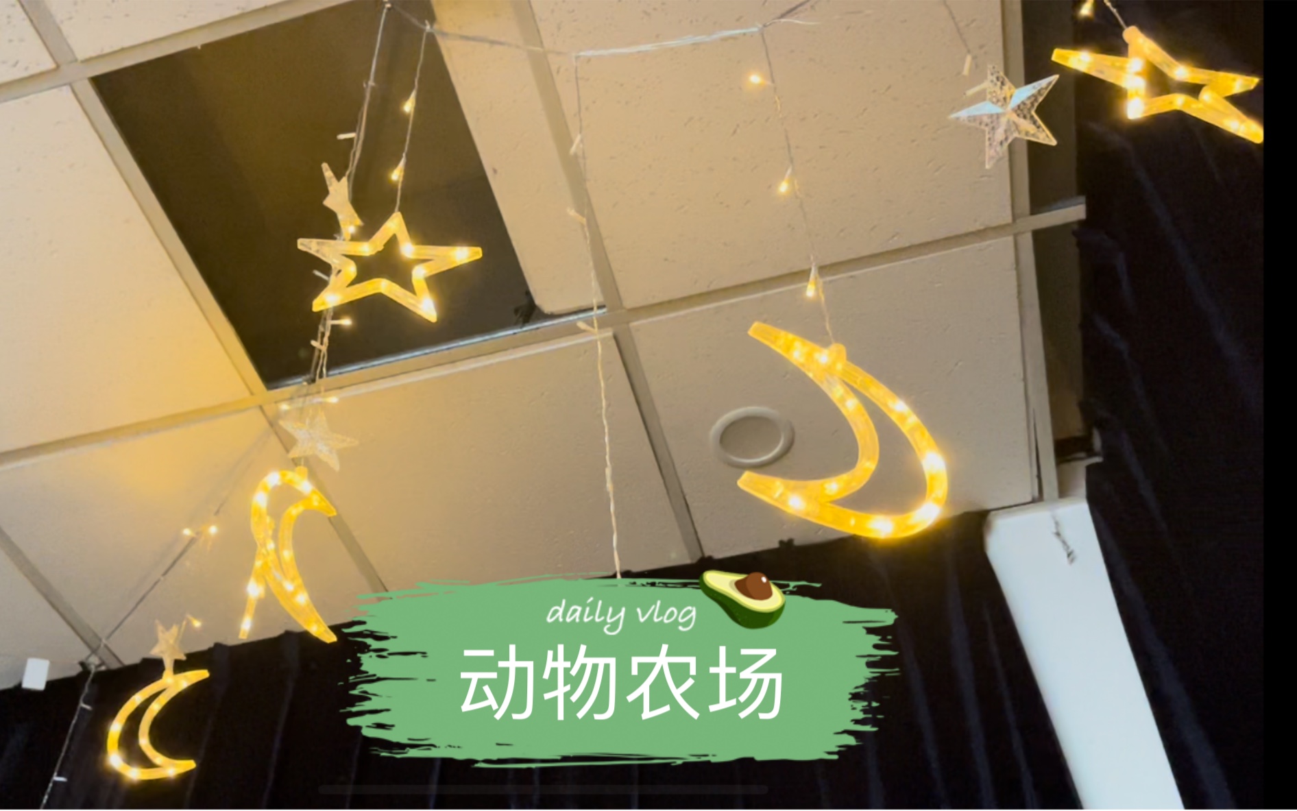 视频封面:《动物农场》2022-6-6排练